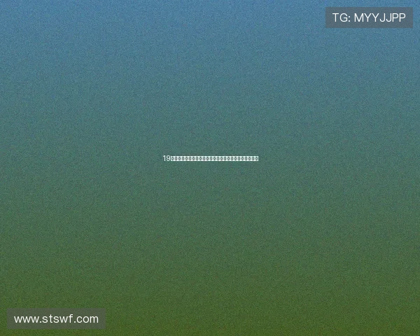 19体育官方网站最新赛事资讯与全面体育数据分析平台上线